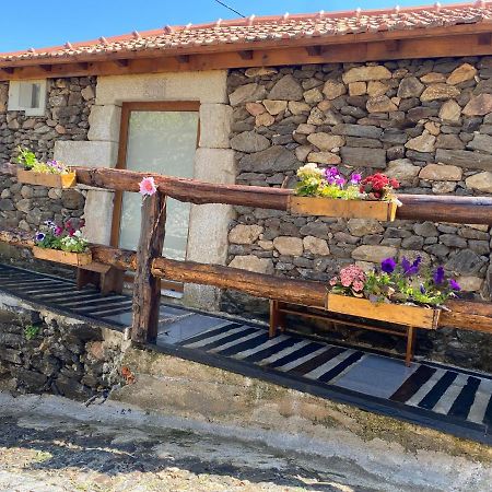 Casa Das Flores Lamego Eksteriør bilde