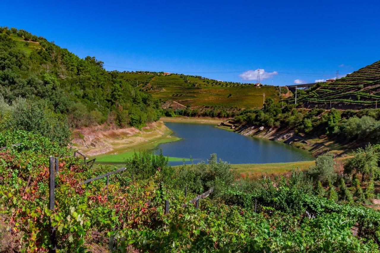 Casa Das Flores Lamego Eksteriør bilde