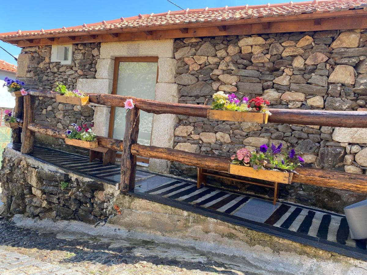 Casa Das Flores Lamego Eksteriør bilde